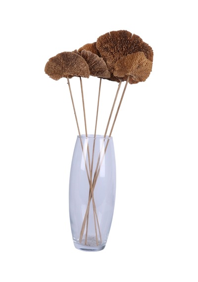 Yapay Çiçek Sitesi Kuru Çiçek Doğal Mushroom Mantar 50 Cm 5li Naturel