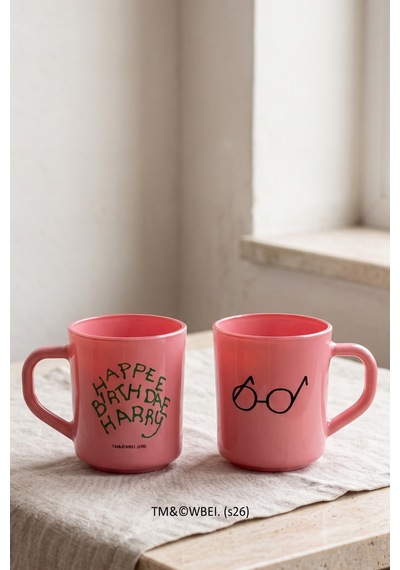 Harry Potter 2'li Kupa Seti Pembe 250 Cc
