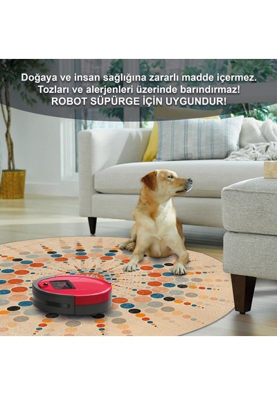 Latte Dizayn Rienes Modern Desenli Şönil Pamuk Tabanlı Yıkanabilir Kaymaz Antibakteriyel Yuvarlak Salon Halısı 100 Çok Renkli