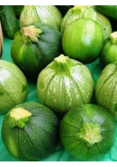 Doğal Topak Kara Kabak Tohumu Karatopak 20 Ad Tohum