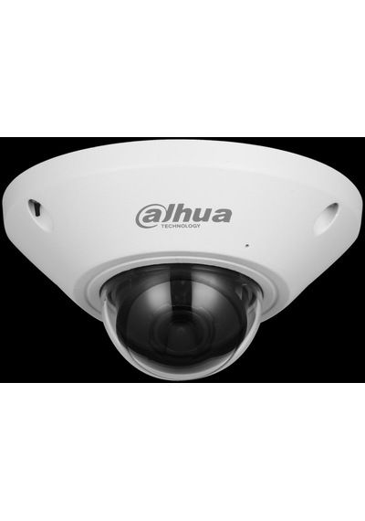 Dahua Ipc-eb5541-as 5mp Panaromik Fisheye Kamera
