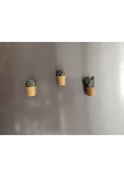 Ev Dekorasyon Buz Dolabı Magnet Succulet 3 Adet