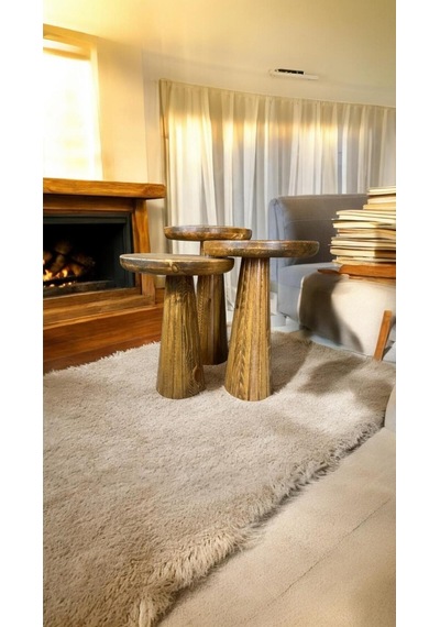 Simillo Wood Wooden Ahşap 3 Lü Set Fitilli Mantar Yan Sehpa Modern Koyu Ceviz Ren Kod:5498049654547 Koyu Ceviz