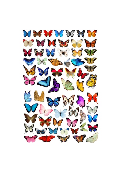66'lı Fairycore Kelebek Sticker Seti - Etiket Seti Scrapbook Bullet Journal Çok Renkli