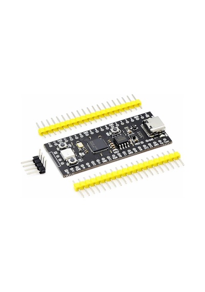 Raspberry Pi Pico RP2040 16Mb Modül Type C Dual Core 264Kb Arm Cortex-M0+ Micro Kontrolör
