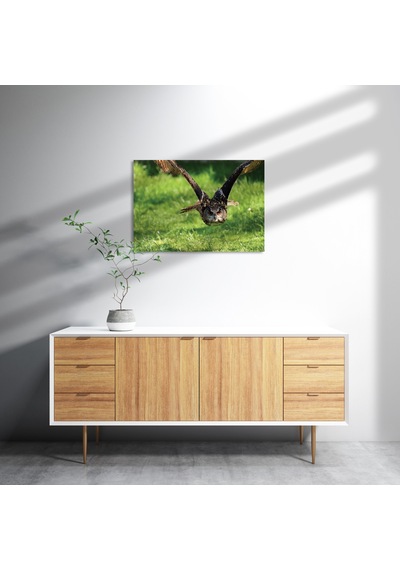Cakasepetim Doğada Üçan Baykuş Ahşap Mdf Tablo