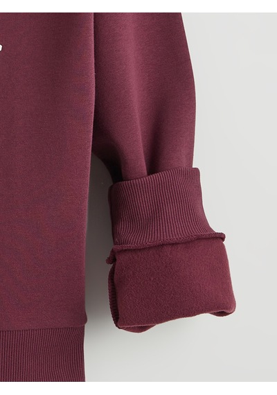 Lcw Modest Mürdüm Polo Yaka Manhattan Baskılı Kadın Kalın Sweatshirt