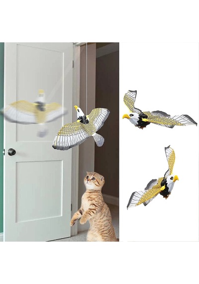 Kedi Kıyafeti İnteraktif Kartal Kedi Oyuncağı