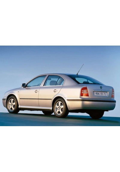 Skoda Octavia A4 Cam Çıtası P.Çelik 1999-2004 N11.6102 Skoda Octavia A4 Cam Çıtası P.Çelik 1999-2004 N11.6102