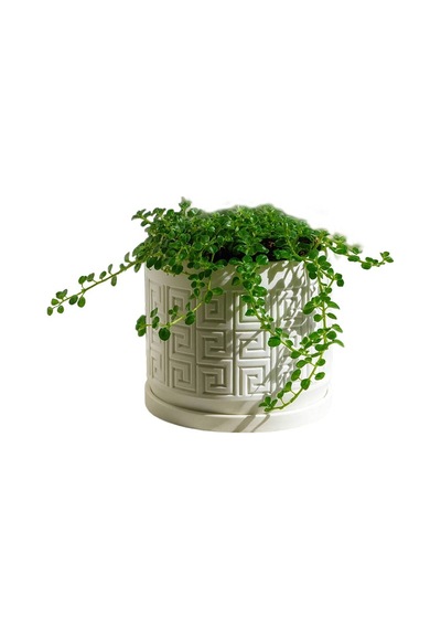 Aztek Desenli Modern Saksı - Fibrika Store