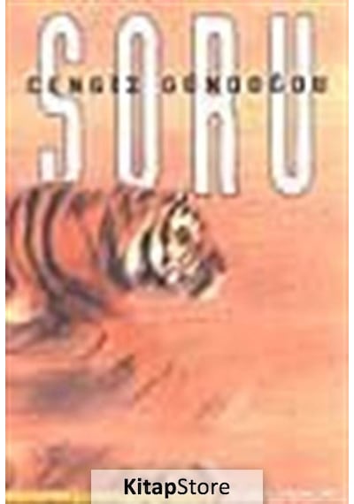Soru - Cengiz Gündoğdu - İnsancıl Yayınları