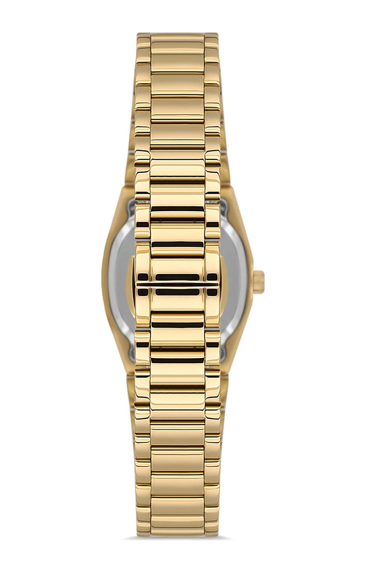 Momentus Cs262g-08sg Gold
