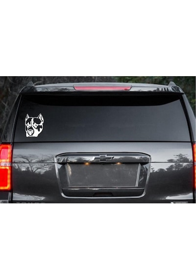 Pitbull Köpek Sticker Araba Stickerı Yapıştırma