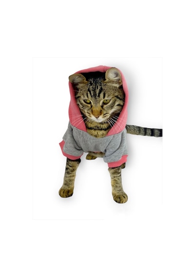 Kemique Mypocket Sweatshirt Duo Kapşonlu Kedi Kıyafeti