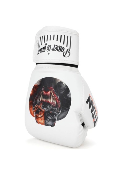 Titan Sport Pitbull-2 Beyaz Boks Eldiveni Çok Renkli