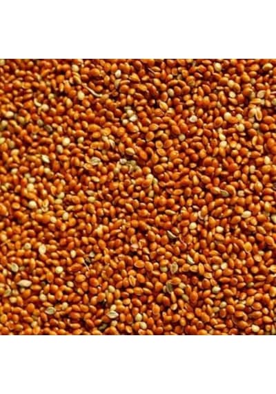 Kızıl Darı Kırmızı Darı Kuş Yemi Dökme 180 Gr