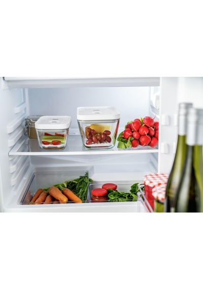 Fresh & Save Vakum Aksesuarları Seti Cam Kutular İçin, M/l / 2-parça Çok Renkli