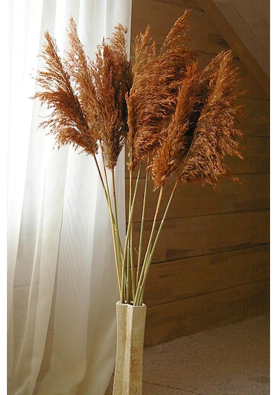 Alyones 8'li Büyük Demet Pampas Turuncu 100cm Boyunda Diğer