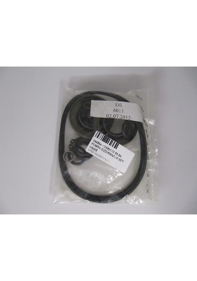 Hawe Ds6011D R5,6A Seal Kit