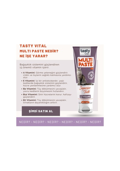 Kedi Multivitamin Malt Paste 100 Gr