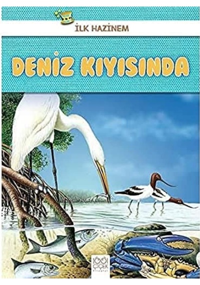Deniz Kıyısında - İlk Hazinem