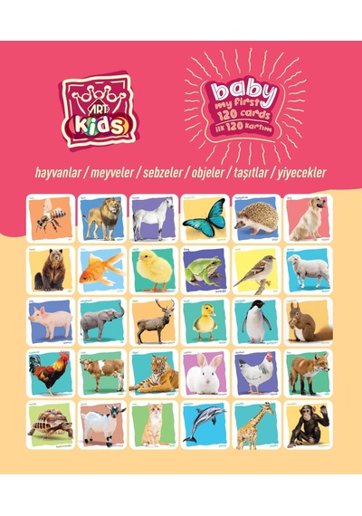 Art Kids Baby Ilk Eğitici Kartlarım