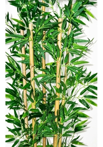 Rüzgar Çiçekcilik 180 Cm Metal Saksıda Bambu Ağacı Yeşil