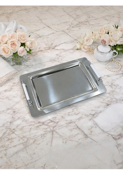 Tr 6 Kişilik Paslanmaz Çelik Sunum Tepsisi, Beyaz Saplı, Şık Servis Tepsisi, 35x25 Cm Diğer