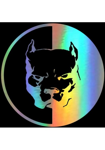 Köpek Pitbull Renkli Renk Oto Araba Sticker