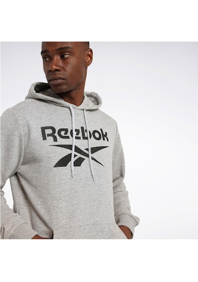 Rı Ft Bıg Logo Oth Hood Giyim Erkek Gri