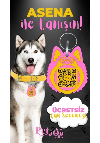 Petjoo 25.Asena Pembe-Sarı Qr'lı Köpek Künyesi