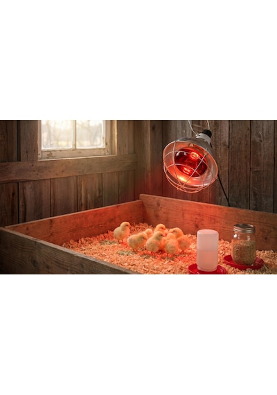 Isıtıcılı Ampul Infrared 250w Kırmızı Işık