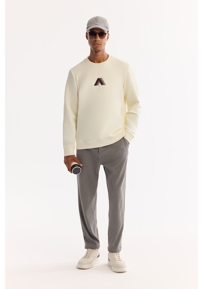 Avva Erkek Ekru Bisiklet Yaka Pamuklu Bi-stretch Baskılı Regular Fit Sweatshirt A52y1305