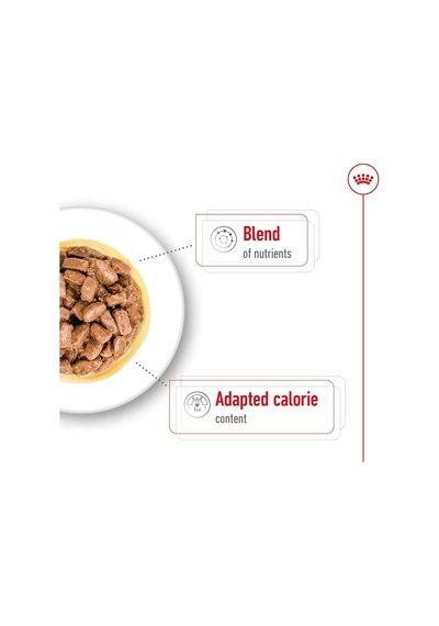 Mini Ageing Küçük Irk Yaşlı Köpek Konservesi +12 Yaş 85 Gr X 12 Adet