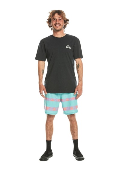 Quiksilver Eqyzt07657 Mw Mini Logo Ss Erkek Tişört 001