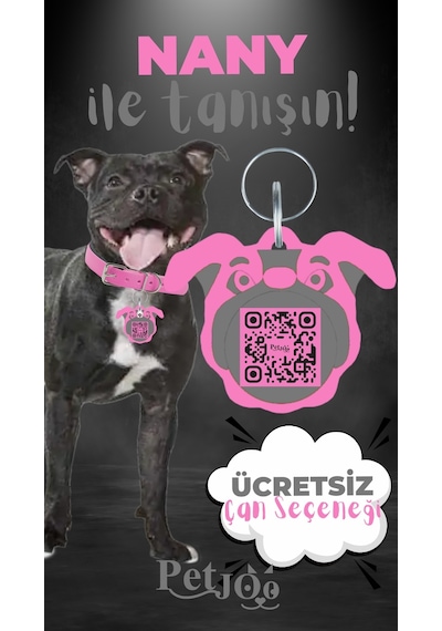 Petjoo 17.Nany Gri-Pembe Qr'lı Köpek Künyesi