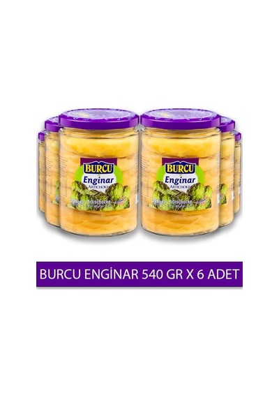 Burcu Enginar 540 Gr X 6 Adet