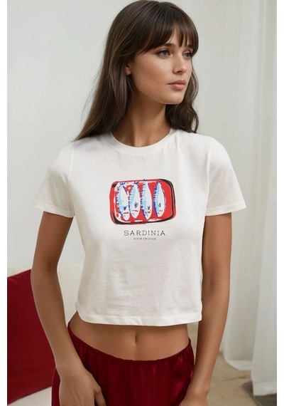 Hiccup Baskı Detaylı Regular Fit Bisiklet Yakalı %100 Pamuklu Crop T-shirt Buz Mavi