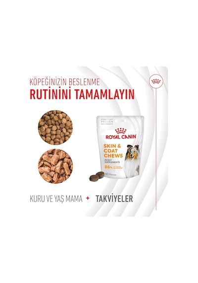 Skin & Coat Yetişkin Köpek Maması 240 G
