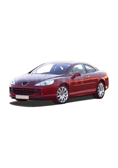 Peugeot 407 Krom Kapı Kolu 2 Kapı 2004-2010