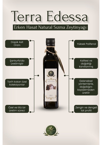Terra Edessa Olio High Quality Olive Oil Erken Hasat Natürel Sızma Zeytinyağı - 500 Ml - Mezopotamya'nın Bereketli Lezzeti