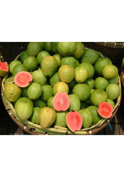 Guava Tohumu 10 Adet N11444