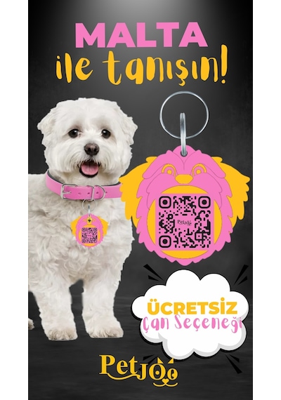 Petjoo 12.Malta Sarı-Pembe Qr'lı Köpek Künyesi