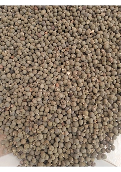 Bamya Tohumu Yerli 500 Gr sız- Yenilebilir 1. Kalite Elenmiş Yeni Mahsül