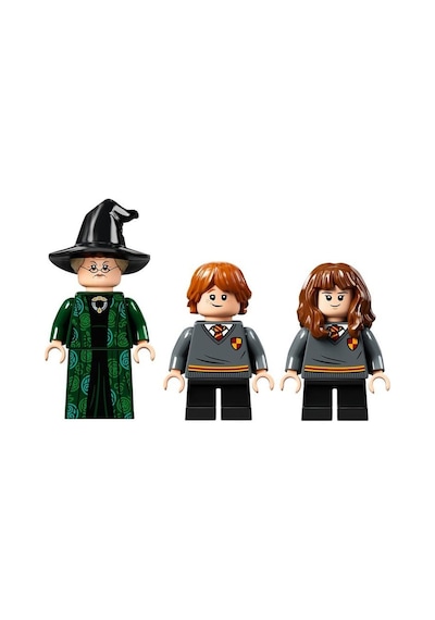 LEGO® Harry Potter 76382 Hogwarts Anısı Biçim Değiştirme Dersi 241 Parça