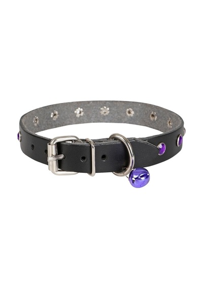 Taşlı Kedi Ve Yru Köpek Tasması 1 23 Cm Mi Medium