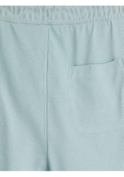 Lcwaıkıkı Classic Turkuaz Regular Fit Erkek Şort