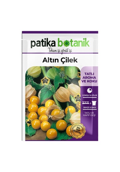 25 Adet Ata Tohumu Altın Çilek