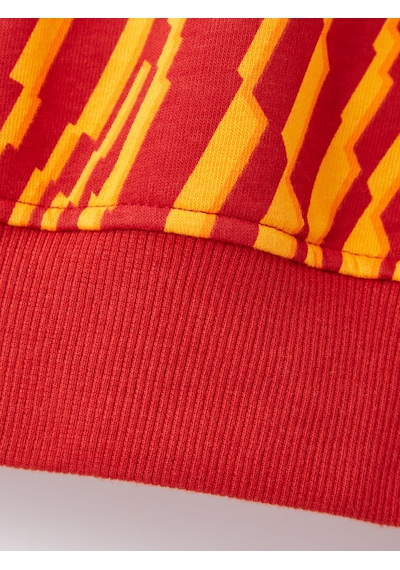 Gsstore Galatasaray Erkek Hoodie E252110 Kırmızı
