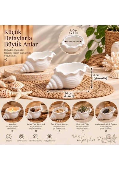 3'lü Deniz Kabuğu Dekoratif Kase Mumluk Takılık Sunumluk Beyaz 5 X 9 Diğer